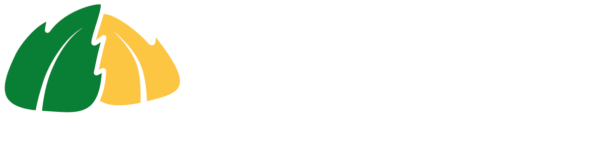 UPSC Logo